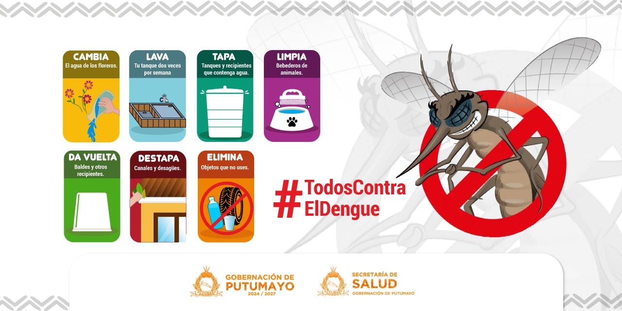 Campana Dengue 2024 - Todos contra el dengue
